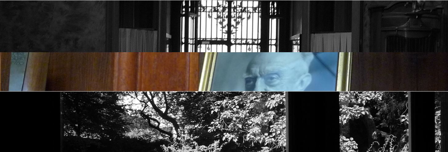 Bandeau présentation Alexandre Millon