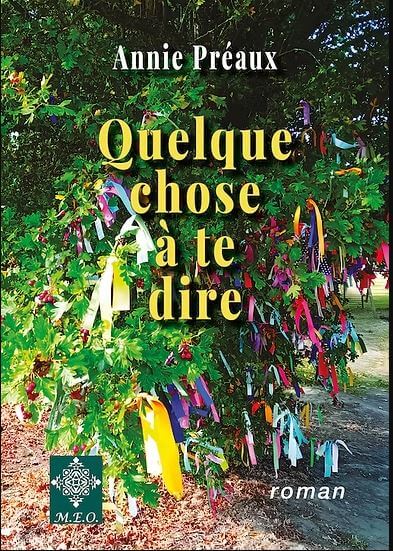 Quelque chose à te dire, roman