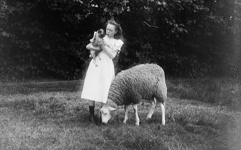 Enfant carlin mouton, promotion samedi des petits